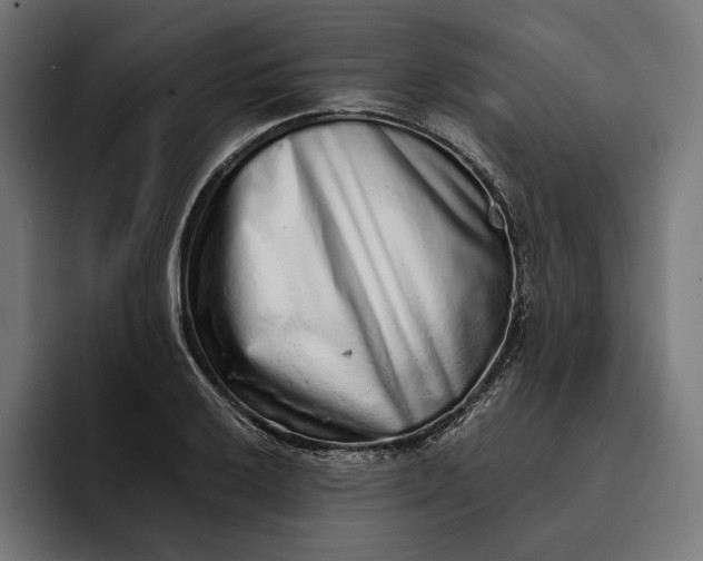 X0000093121032200710101036