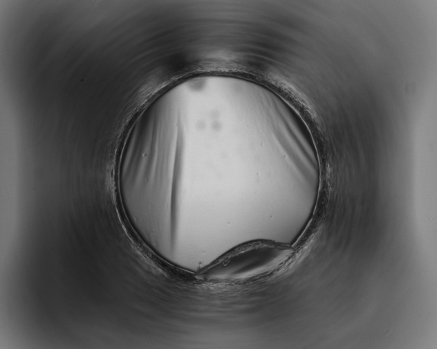 X0000093121033200710101036