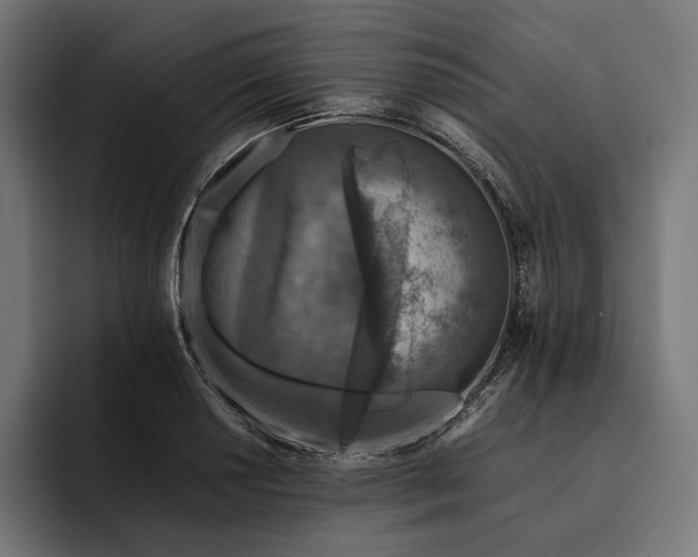 X0000093121034200710101036