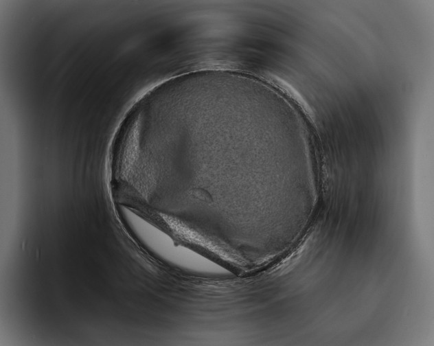 X0000093121035200710101036