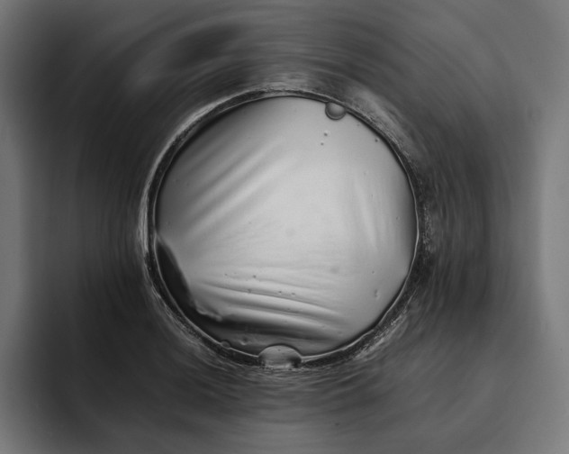 X0000093121036200710101036