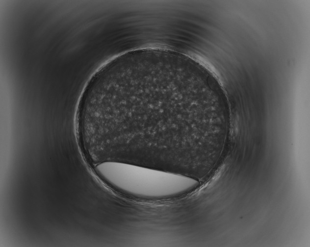 X0000093121037200710101036