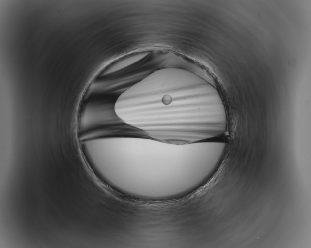 X0000093121038200710101036