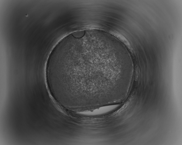 X0000093121039200710101036