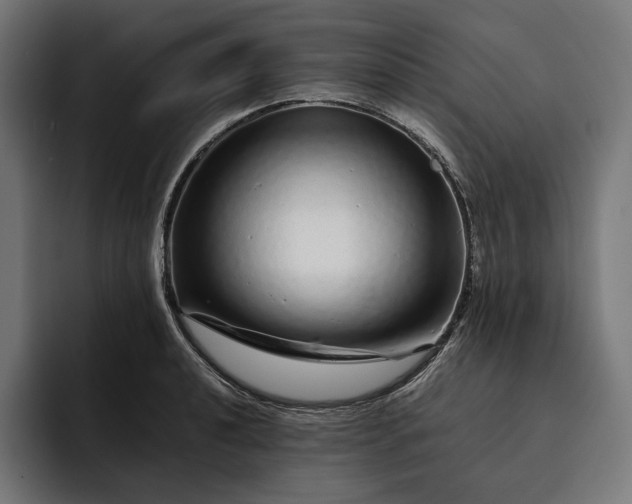 X0000093121040200710101036