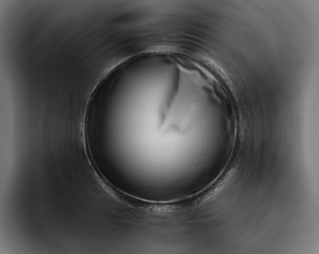 X0000093121041200710101036