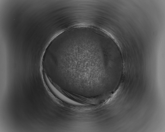 X0000093121042200710101036