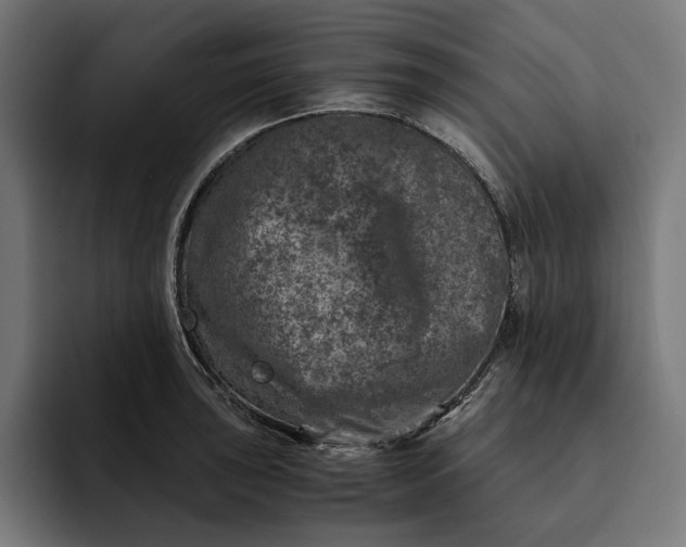 X0000093121043200710101036