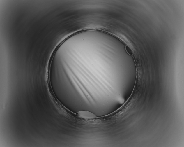 X0000093121044200710101036