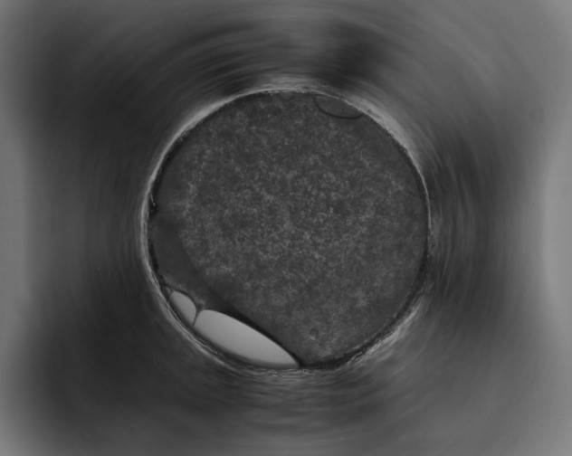 X0000093121045200710101036