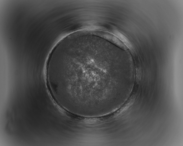 X0000093121046200710101036