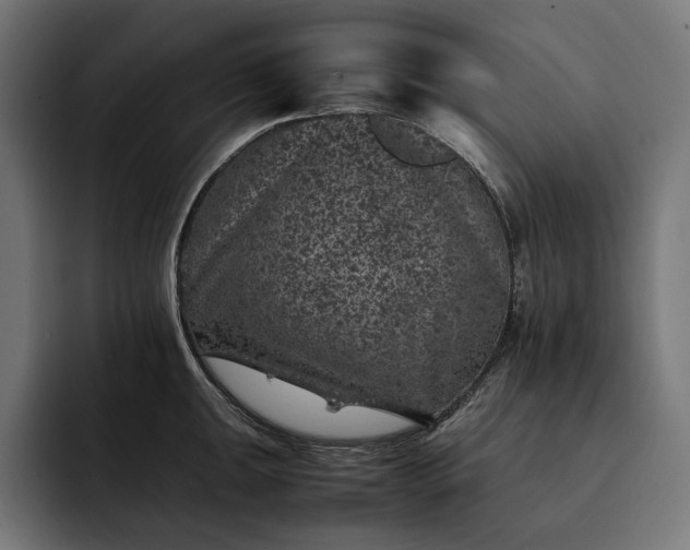 X0000093121047200710101036