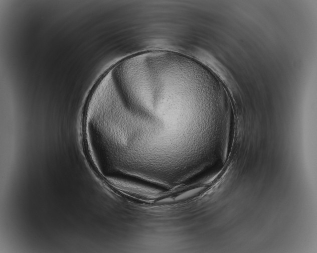 X0000093121048200710101036