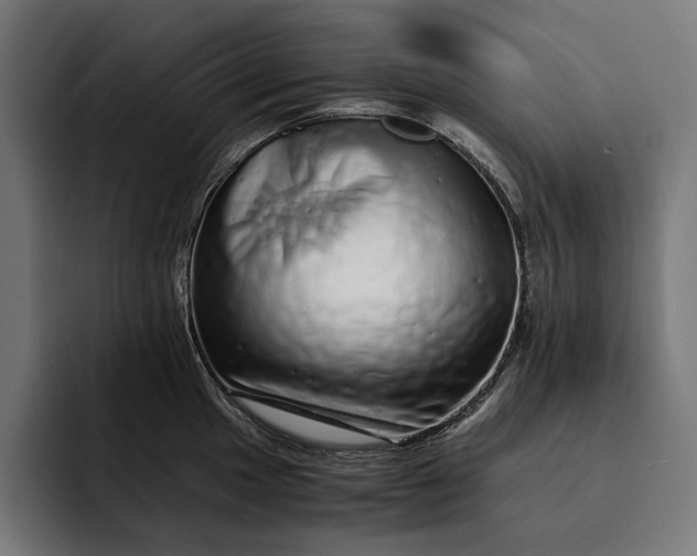 X0000093121049200710101036