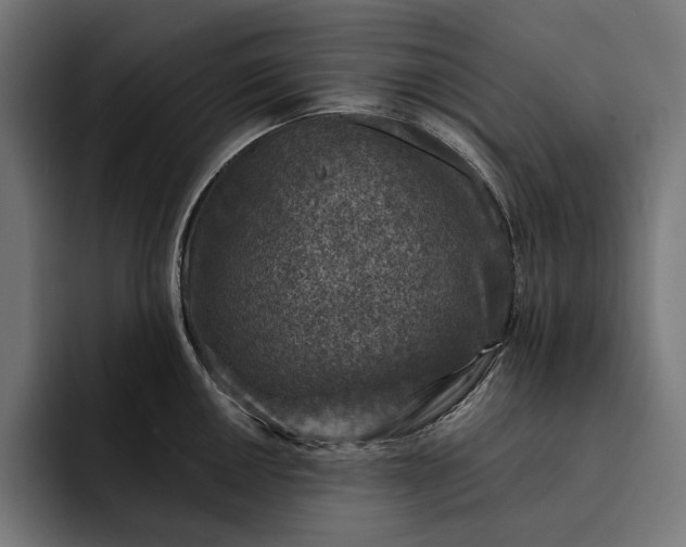 X0000093121050200710101036