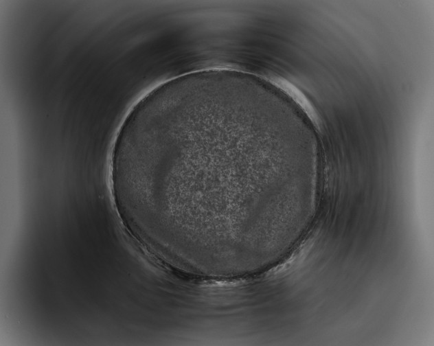 X0000093121051200710101037