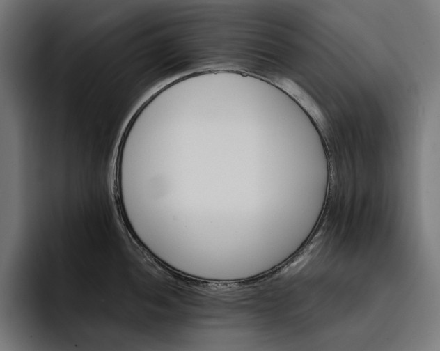 X0000093121052200710101037