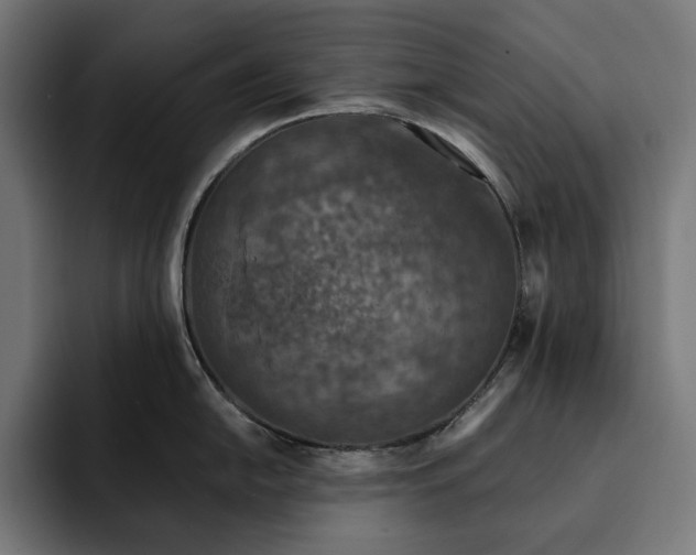 X0000093121054200710101037