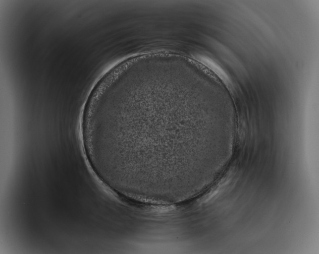 X0000093121055200710101037