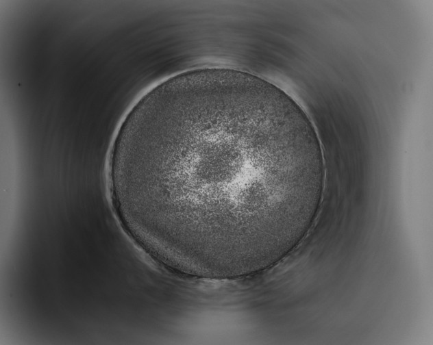 X0000093121056200710101037