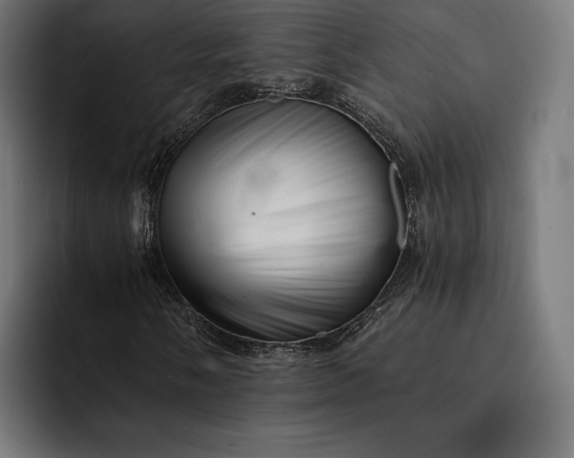 X0000093121058200710101036