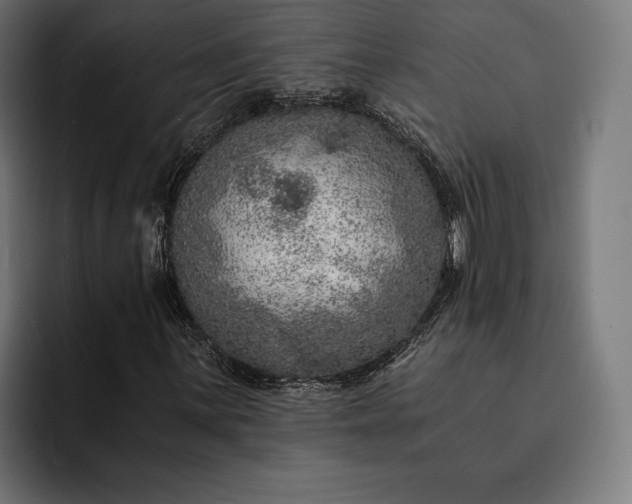 X0000093121059200710101036