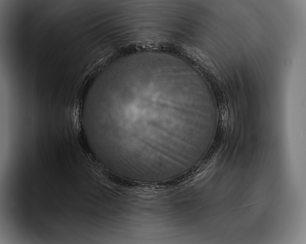 X0000093121060200710101036