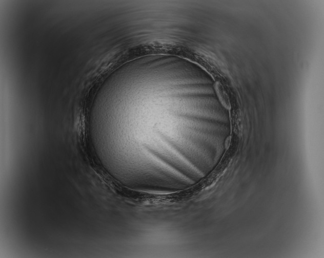 X0000093121061200710101036