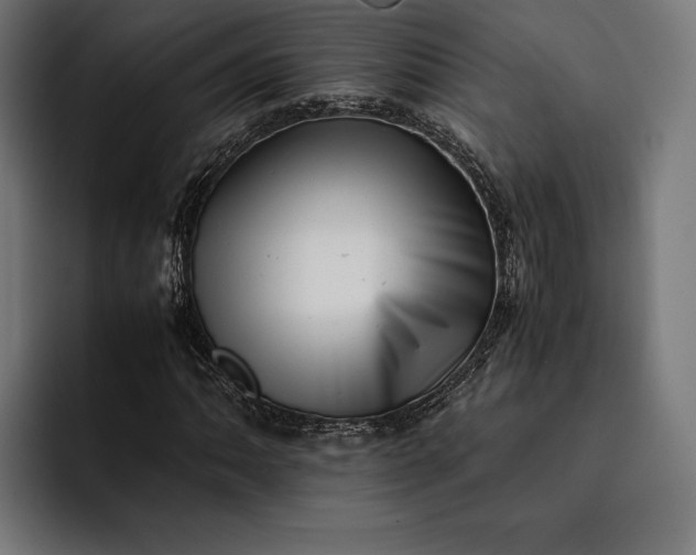 X0000093121062200710101036