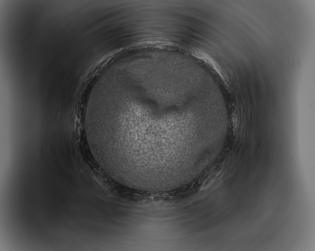 X0000093121064200710101036