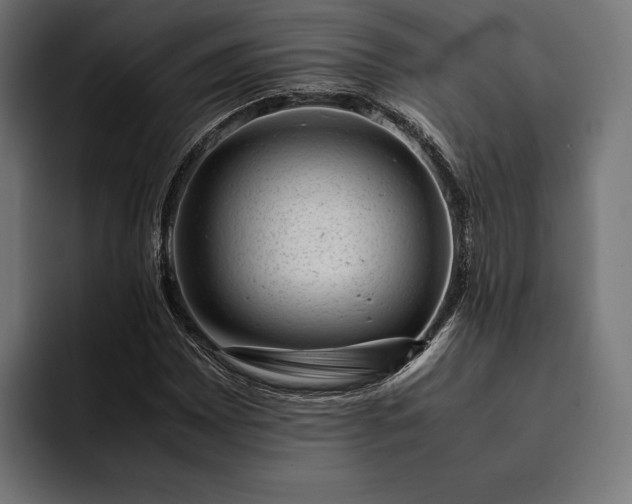 X0000093121065200710101036