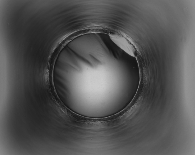 X0000093121066200710101036