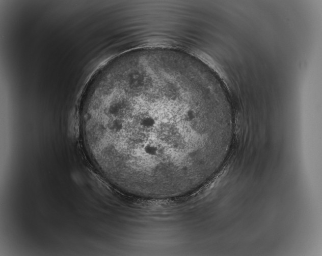 X0000093121067200710101036