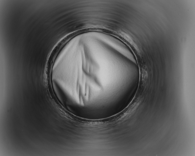 X0000093121068200710101036