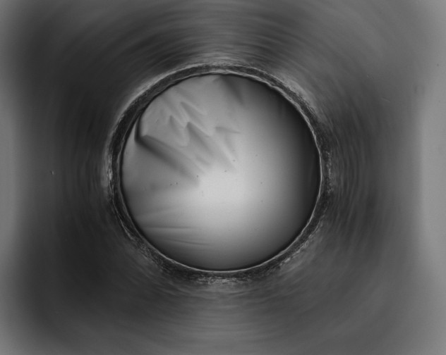 X0000093121070200710101036