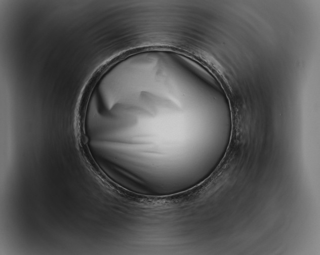 X0000093121072200710101036