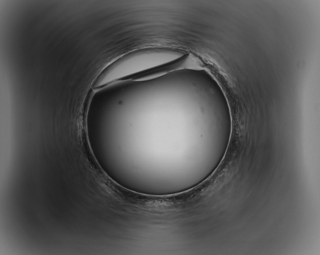 X0000093121073200710101036