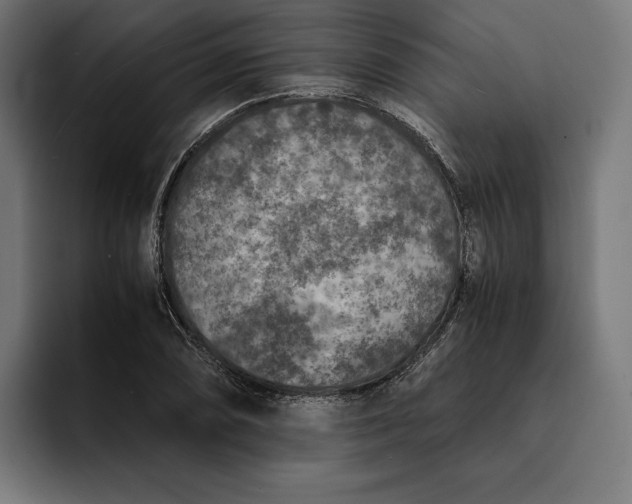 X0000093121074200710101036