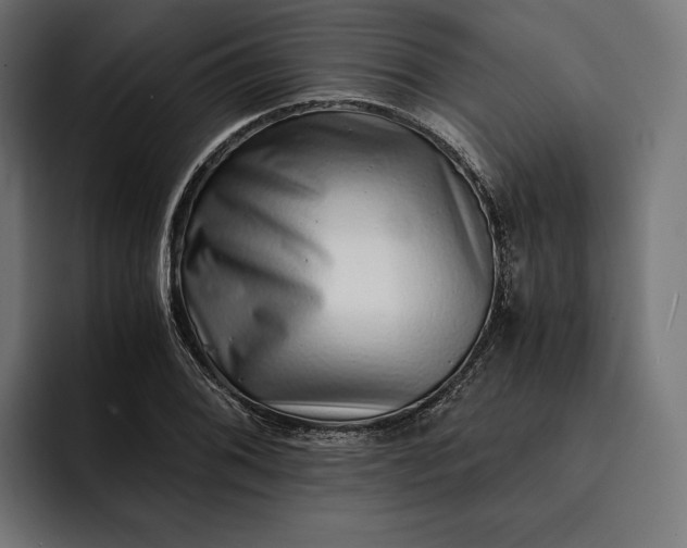 X0000093121076200710101036