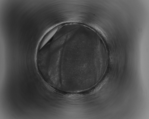 X0000093121077200710101036