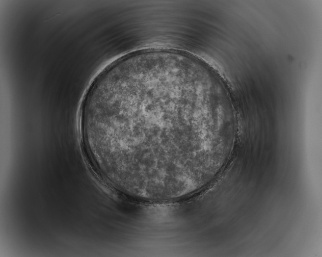 X0000093121078200710101036