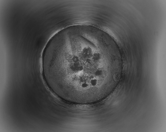 X0000093121079200710101036