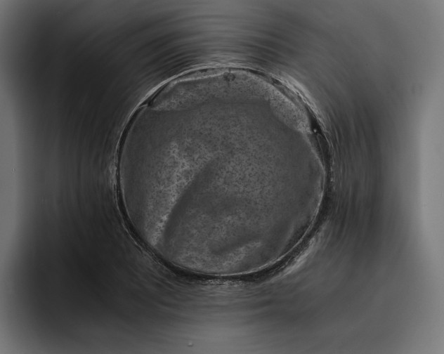 X0000093121081200710101036