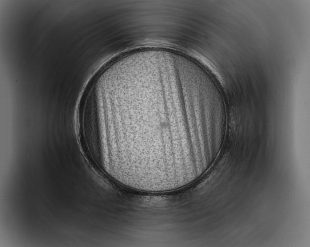 X0000093121082200710101036