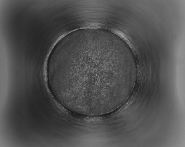 X0000093121083200710101036