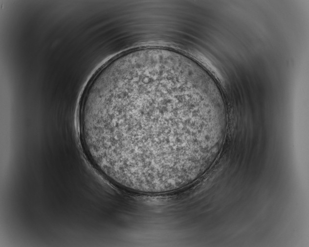 X0000093121084200710101036