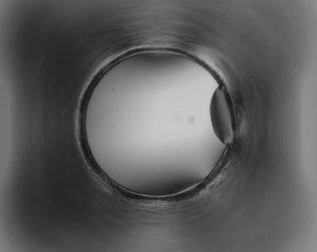 X0000093121085200710101036