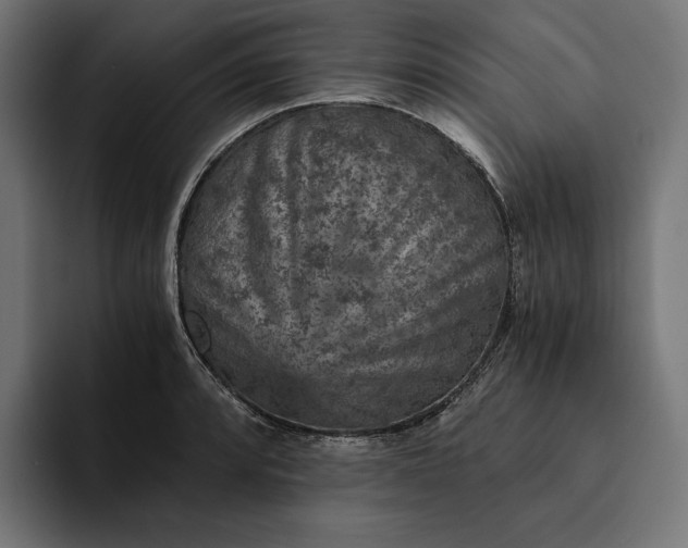 X0000093121088200710101036