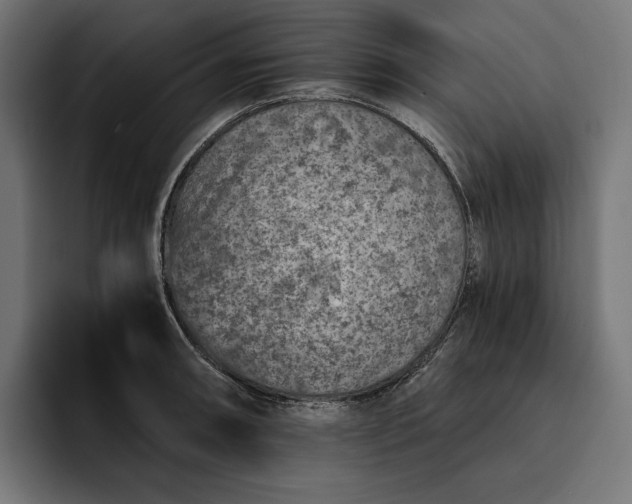 X0000093121090200710101036