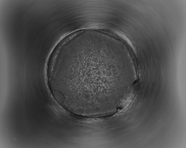 X0000093121091200710101036